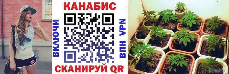 МАРИХУАНА индика Аткарск